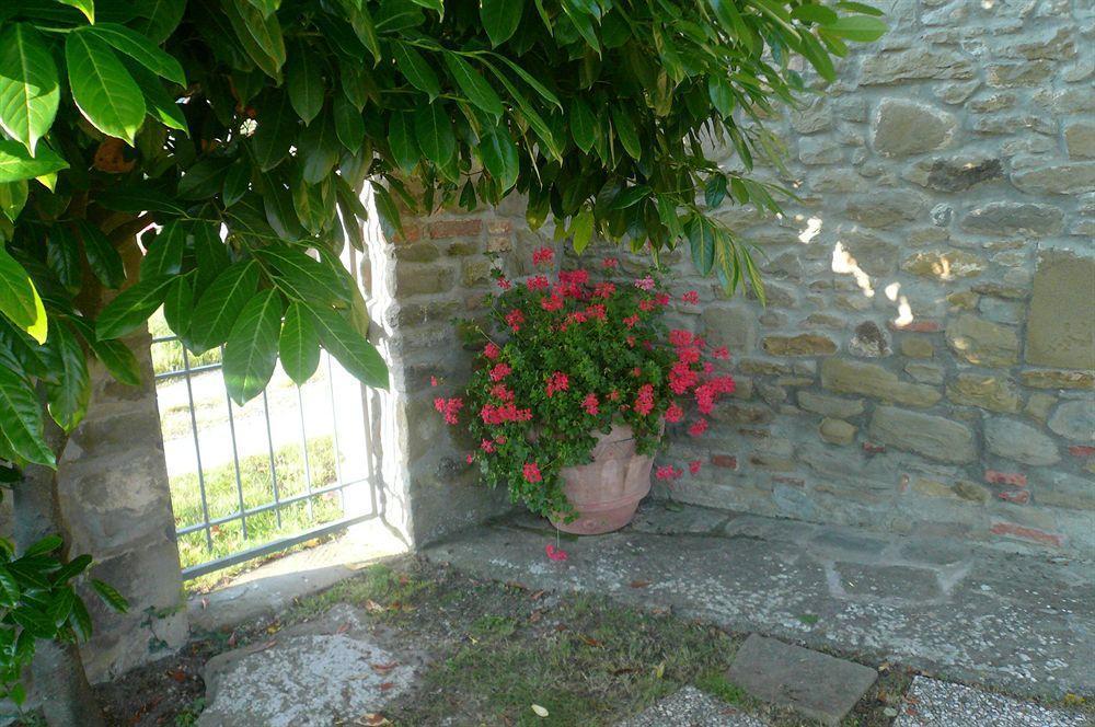 Ferienwohnung Il Gelso Cortona Exterior foto
